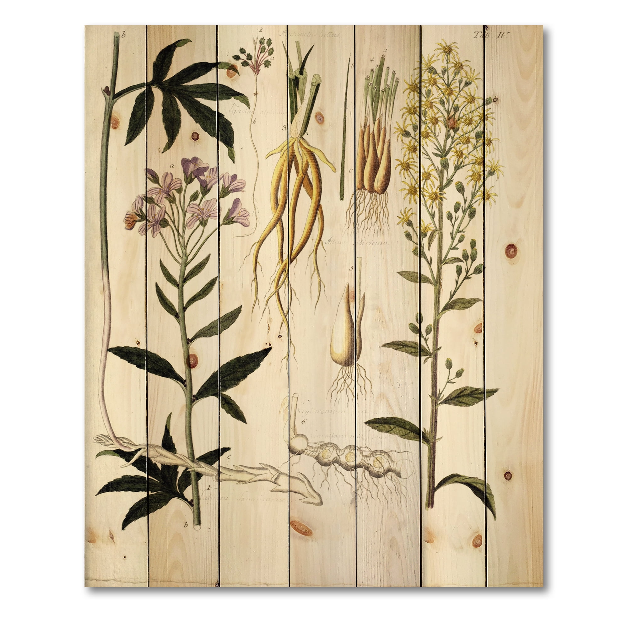 Designart 'Ancient Plant Life VIII' Farmhouse Print on Natural Pine Wood