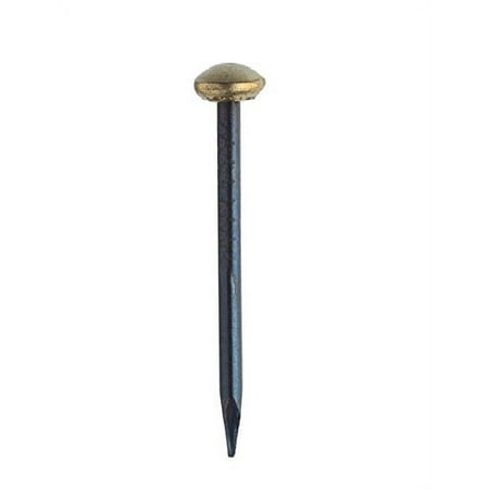 

1 inch Brass Capped Nail 100 Pack