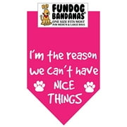 Fun Dog Bandana - I'm the Reason we Can't Have Nice Things - One Size Fits Most for Med to Lg Dogs, hot pink pet scarf