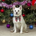 thumbnail image 2 of Collar de Perro Navideño ADOGGYGO con Pajarita Verde a Cuadros Ajustable Talla S, 2 of 4