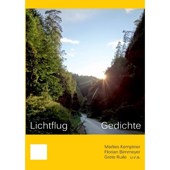 Lichtflug: Gedichte, (Paperback)