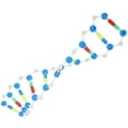 Gong Double Helix Dna Model Science Teaching Aids for Students