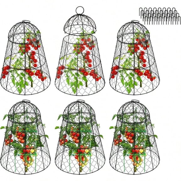 Garden Cloches For Plants Set Of 6 Chicken Wire Plant Cages And Plant Protectors From Animals 17.7 H X 12.8 D Outdoor Vegetable And Flower Cages Sapbontchi Chicken Wire Cloche