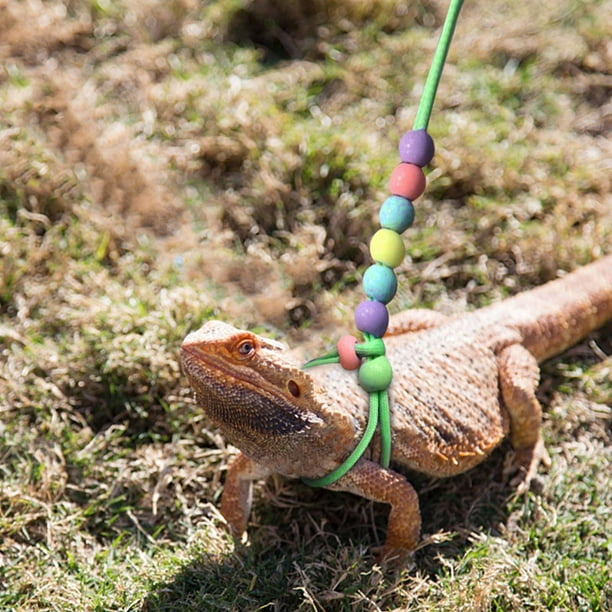 Dvkptbk Night Light Traction Rope Lizard Traction Rope Climbing Pet Going  Out Traction Belt Walking Lizard Rope Small Pet Traction Rope Night Light  Traction Rope Home Decor on Clearance 