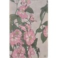 thumbnail image 2 of Overbeck, Hannah Borger 17x24 White Modern Wood Framed Museum Art Print Titled - Prairie Rose, 2 of 4