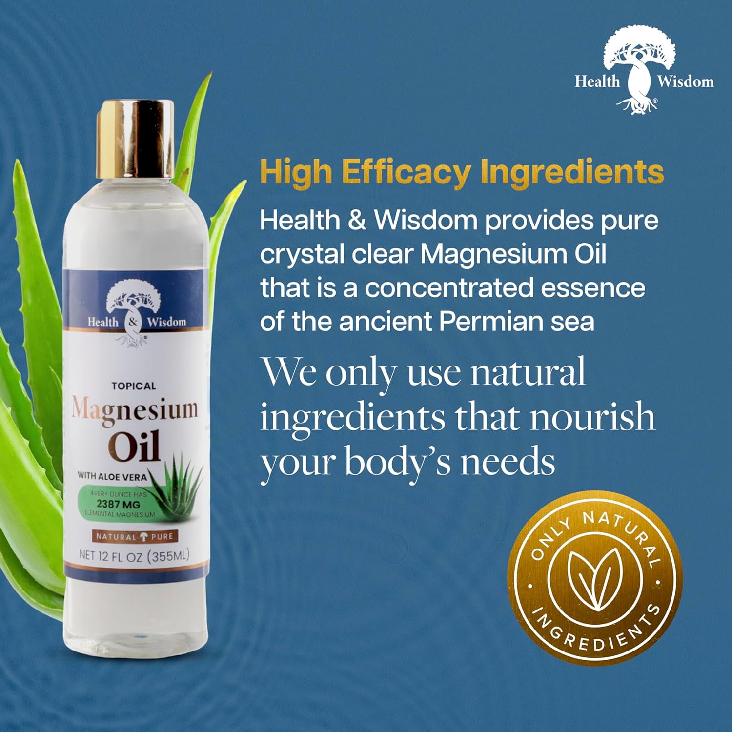 Health and Wisdom Pure Magnesium Oil with Aloe Vera - Topical Muscle and Joint Relief- Natural and Pure USP Grade Extra Strength Magnesium - Enhanced Absorption - 12 fl oz