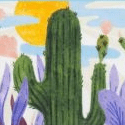Desert Flora