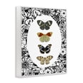 thumbnail image 2 of Stupell Industries Traditional Floral Butterfly Lineup White Framed Giclee Art, 11 x 14, by Dan Meneely, 2 of 8