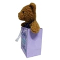 thumbnail image 4 of Way to Celebrate Mother's Day Plush Bear In Bag, 8inch, 4 of 5