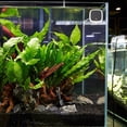 thumbnail image 4 of PAMINGONO Water Temperature Thermometer with Copper Nickel Sensor for Home Aquarium Use, 4 of 6