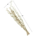 thumbnail image 3 of 45" Tall Rolled Palm Leaf Natural Foliage Bouquet, by DecMode, 3 of 7