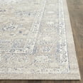 thumbnail image 3 of SAFAVIEH Patina Claude Oriental Area Rug, Taupe, 4' x 4' Square, 3 of 7