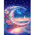 thumbnail image 1 of Pintura de diamantes 5D Wdftyju DIY Parcial Forma especial Taladro Corona Luna decoración, 1 of 9
