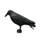 thumbnail image 2 of Repelente de palomas - Cuervo - Repelente contra pájaros pequeños y palomas - Alcance de aproximadamente 36 cm., 2 of 5