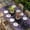 Lavender Purple Light Purple Black, variant on Purple Lavender Table Cloths for 5 Foot Rectangle Tables, Spring Watercolor Wildflowers Plant Black Patio Waterproof Elastic Fitted Tablecloths, Washable Rectangular Table Cover for Camping