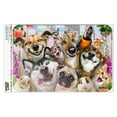 thumbnail image 1 of Pet Animals Selfie Dogs Cats Rabbit Hamster Guinea Pig Home Business Office Sign - Window Sticker - 12" x 18" (30.5cm x 45.7cm), 1 of 4