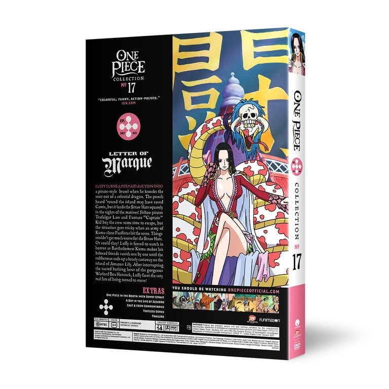 New One Piece: Collection 17 (Uncut / DVD) - Walmart.com