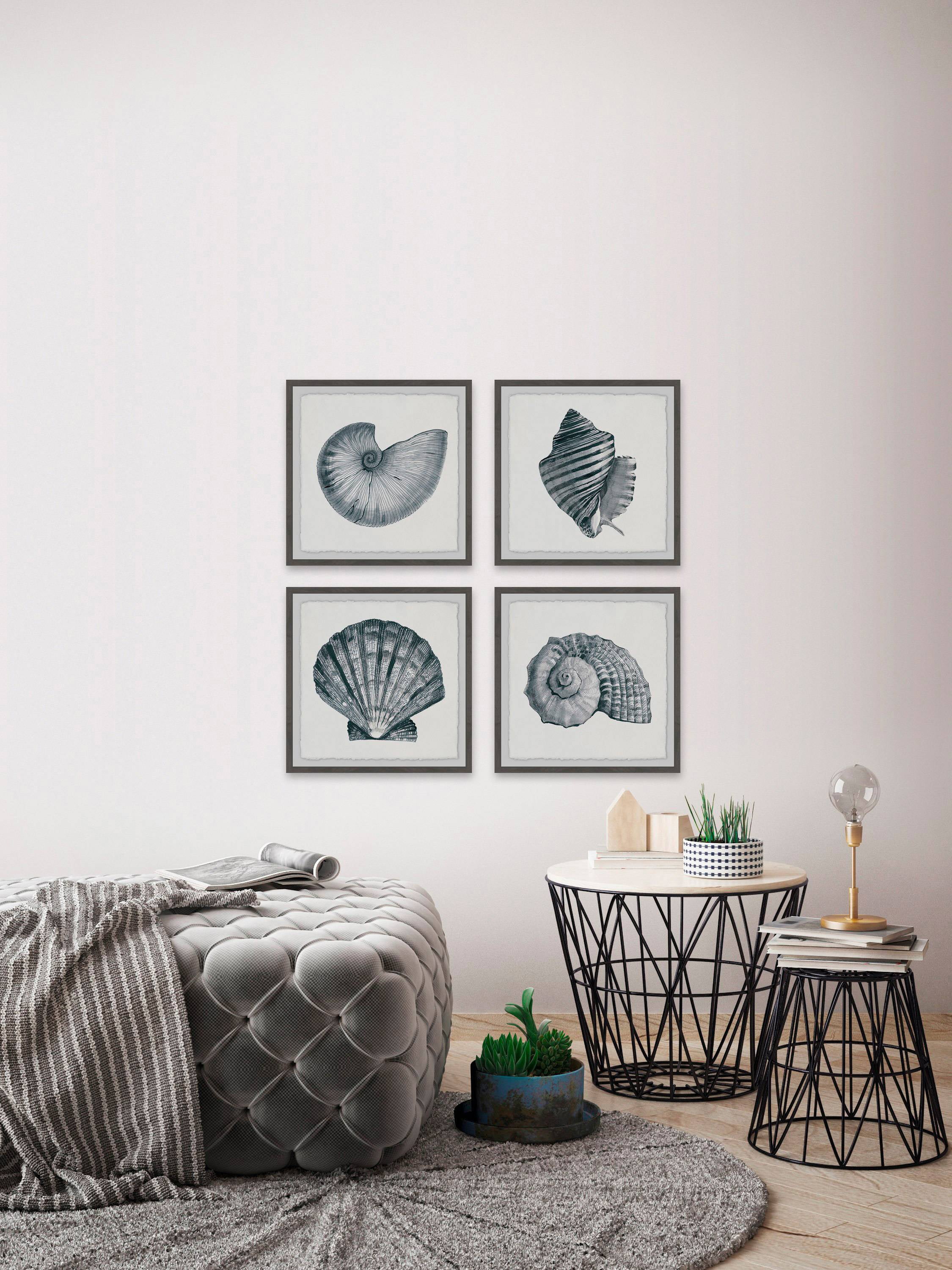 Gray Sea Shells Quadriptych