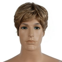 Morris Costumes Bargain Men's Wig