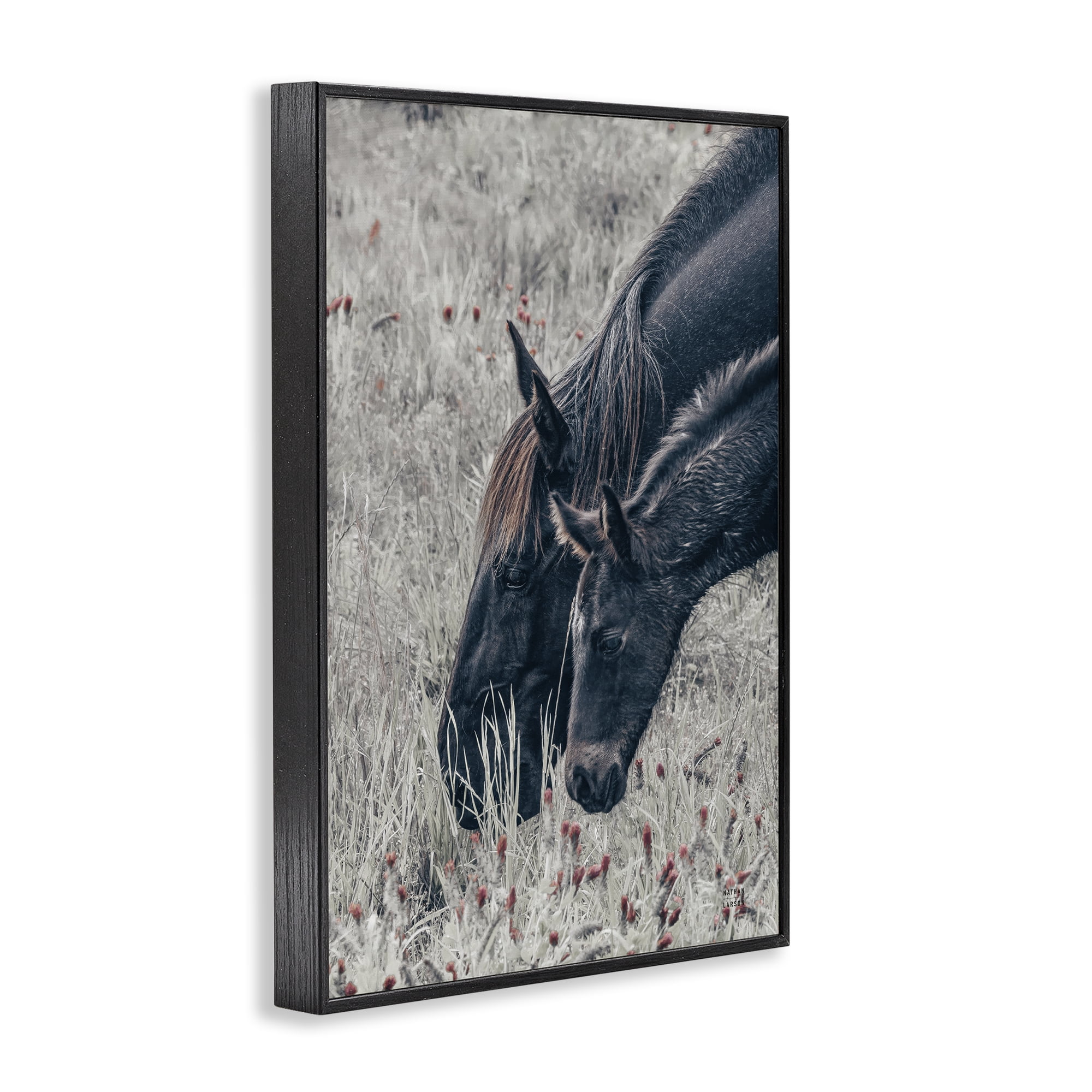 Stupell Industries New Graze Horses in Meadow Black Framed Giclee Art, design by Nathan Larson