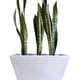 thumbnail image 1 of Maceta jardinera larga para planta natural resistente exterior, 1 of 3