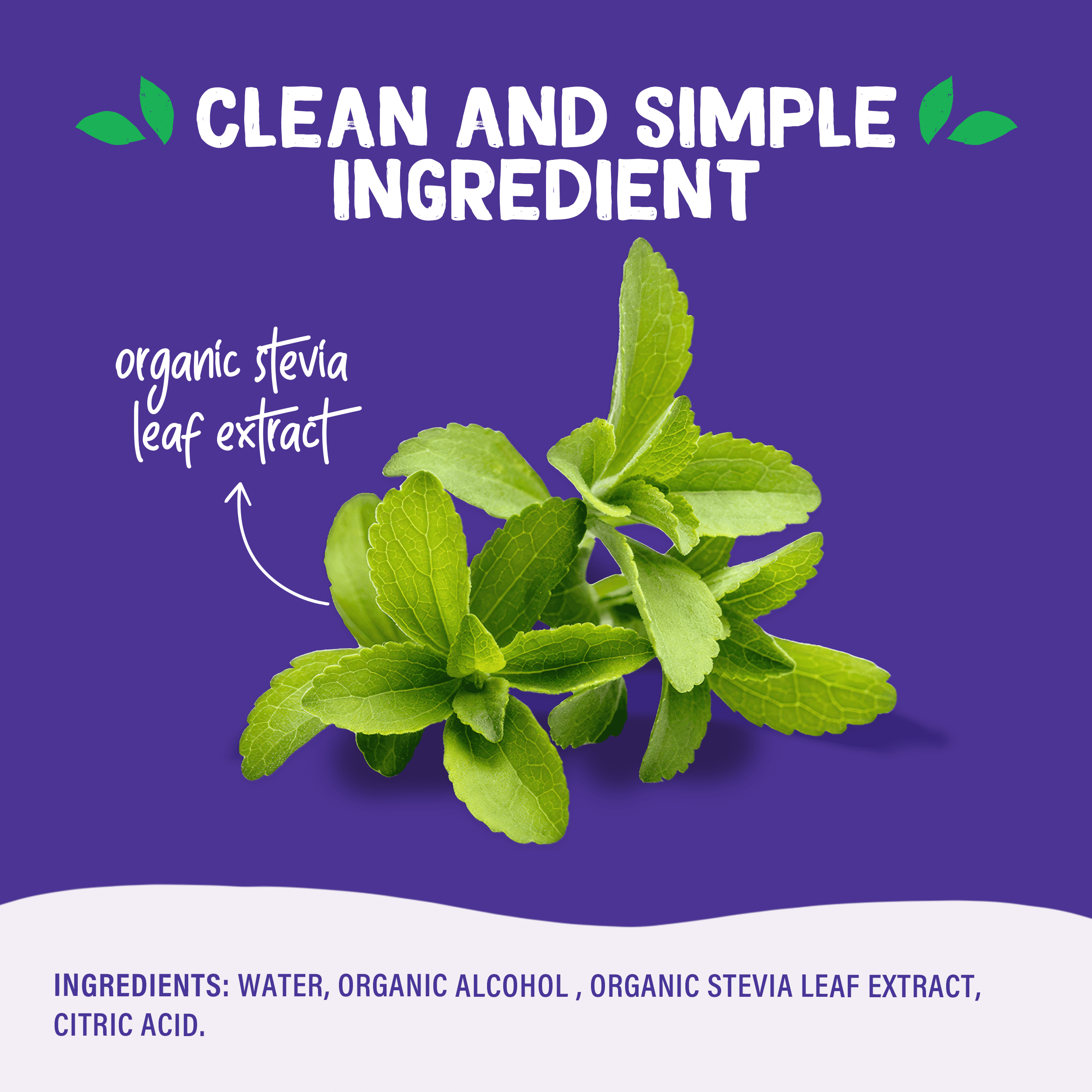 Pyure Organic Liquid Stevia Extract Sweetener – Zero Calorie, Sugar Free, Keto Friendly, Plant-Based Sugar Substitute – Non-GMO, Diabetic Friendly, Zero Carb, No Aftertaste – Simply Sweet – 1.8 fl oz