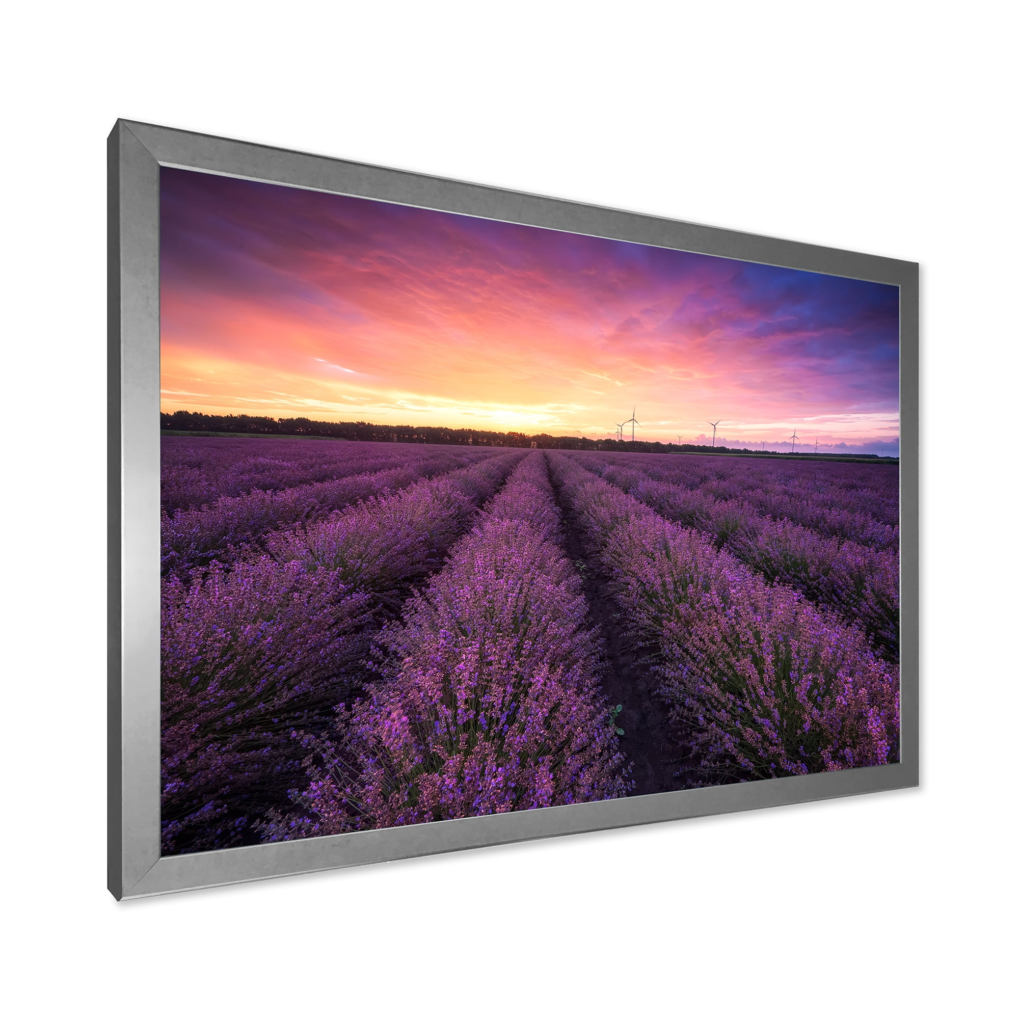 Designart 'Dramatic Clouds and Sunrise Over Lavender Field XIII' Farmhouse Framed Art Print