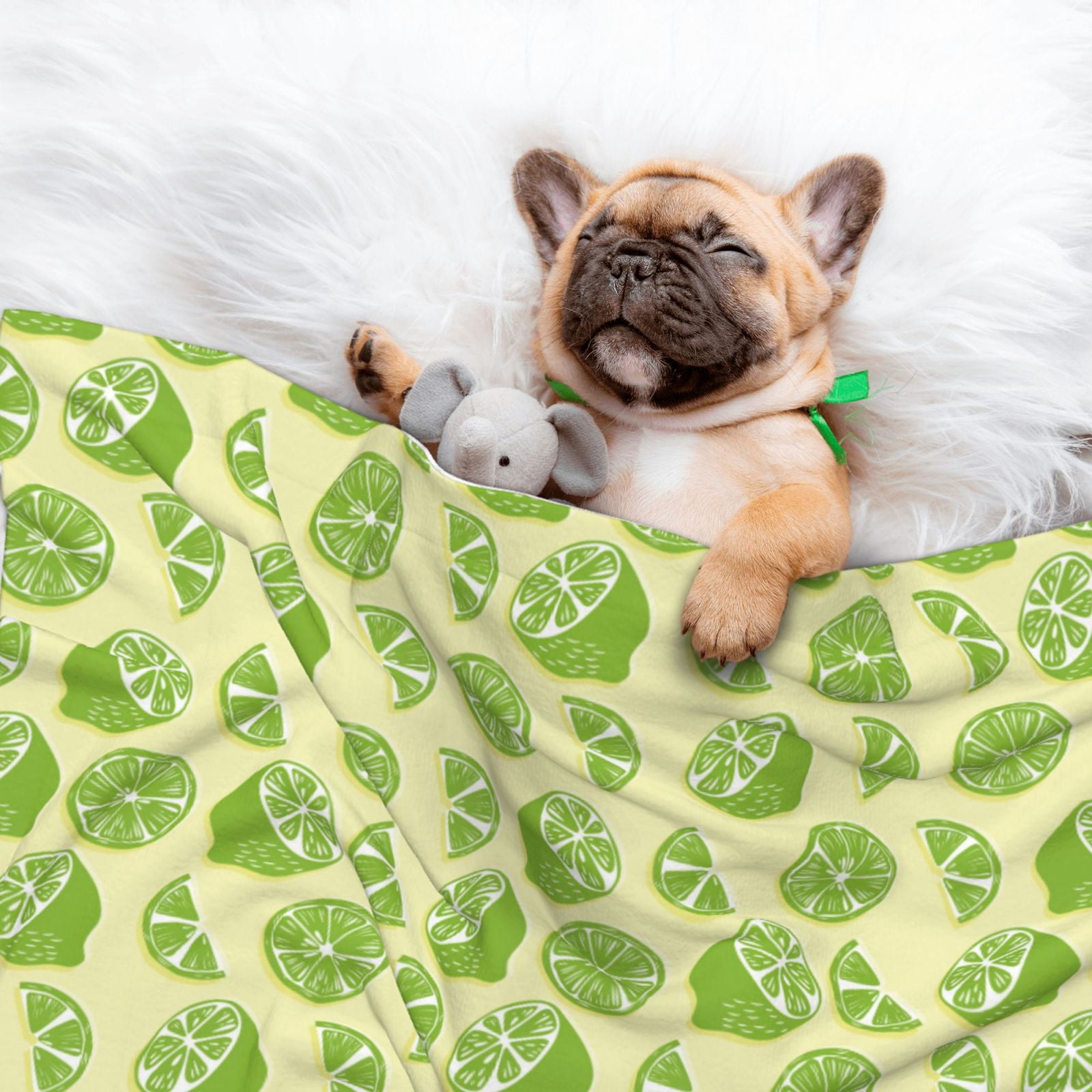 Naloa Various Lemons Dog Blanket, 3 Sizes Cat Blanket for Indoor Cats Large Medium Small Dog Gifts-Medium