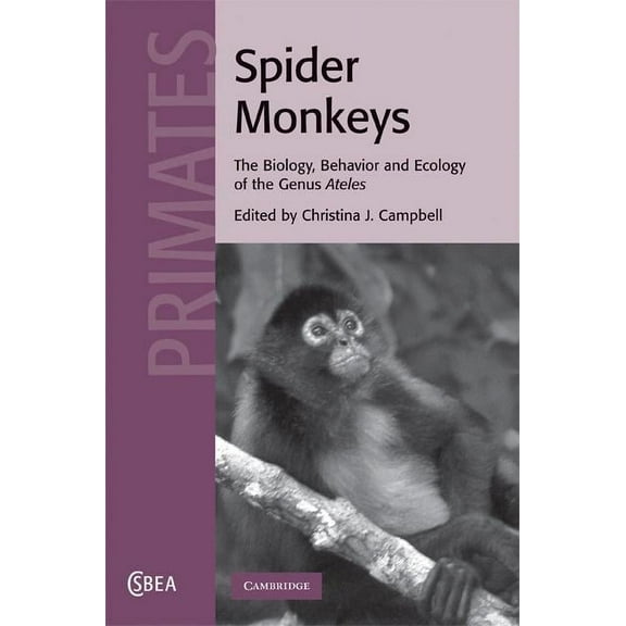 Cambridge Studies in Biological and Evol Spider Monkeys, Book 55, (Hardcover)