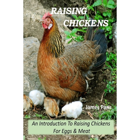 Raising Chickens - An Introduction To Raising Chickens For Eggs & Meat, (Paperback)