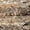 15.7x11.8in, variant on 4PCS Cork Terrarium Background 15.7x11.8in Natural Cork Large Bark Climbing Mat Habitat Decoration Chameleons, Lizards, Turtles Glass Jar Decoration