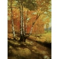 thumbnail image 2 of Reynolds, Graham 12x14 White Modern Wood Framed Museum Art Print Titled - Woodland Stream I, 2 of 4