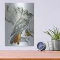 thumbnail image 4 of Luxe Metal Art 'Redtailed Hawk' by Barbara Keith, Metal Wall Art, 12"x16", 4 of 9