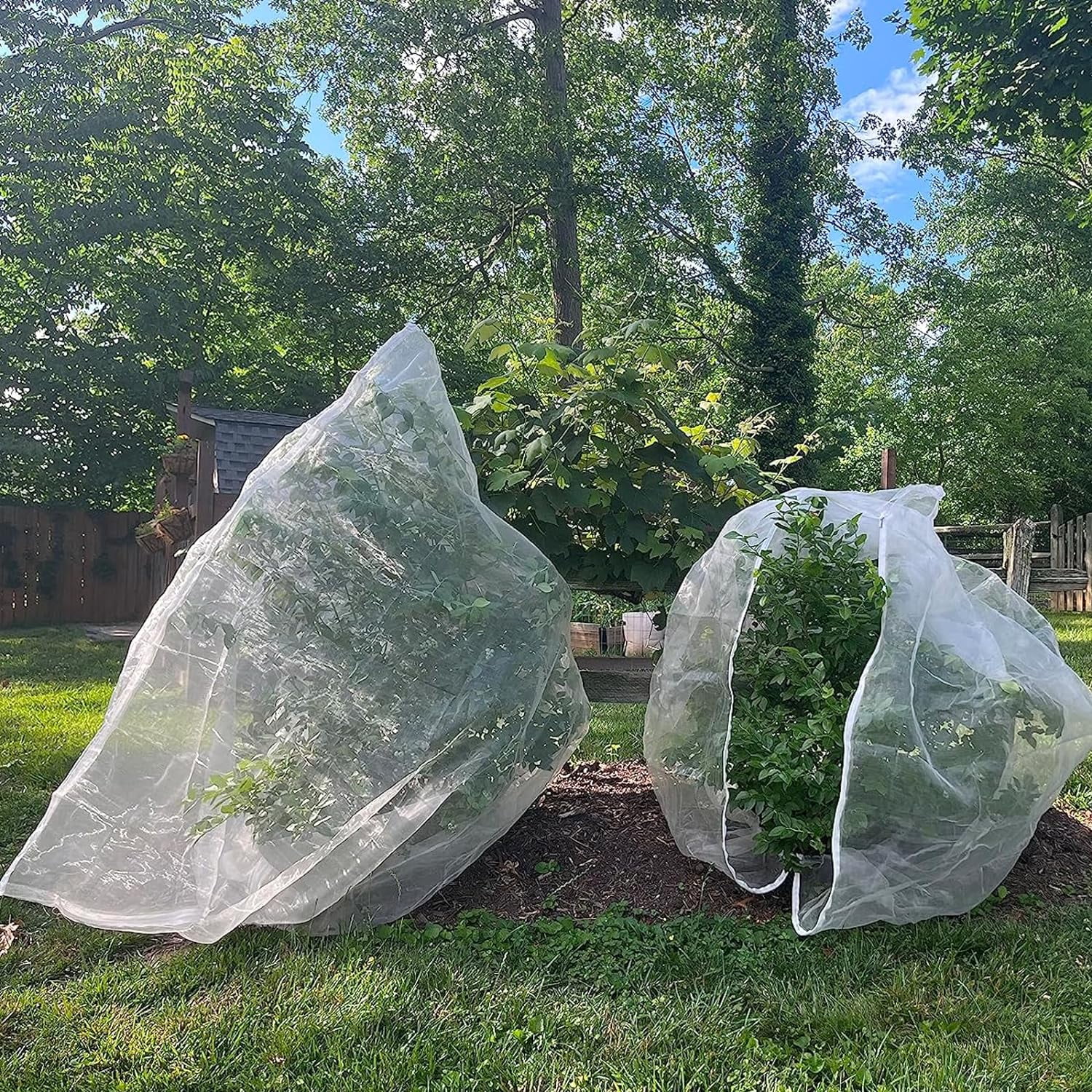 Sacs En Filet Pour Arbres Fruitiers Avec Fermeture éclair Et Cordon De