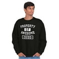 thumbnail image 3 of Sarcastic Property of Awesome Dude Men's Crewneck Sweatshirt Brisco Brands S, 3 of 6