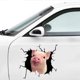 thumbnail image 4 of JM Calcomanía estática divertida para coche con diseño de cerdo crujiente para ventana rota (12.0 x 12.0 in, estilo C) JM, 4 of 5
