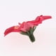 thumbnail image 3 of Cabeza de Flores de Margarita Artificial de 20 Piezas Mezclados para Decoración de Bodas, 3 of 5