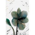 thumbnail image 1 of cuadro decorativo capuchina fragoso lienzo by suma  1 pieza 30 X 45 CM, 1 of 2