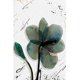 thumbnail image 1 of cuadro decorativo capuchina fragoso lienzo by suma  1 pieza 30 X 45 CM, 1 of 2