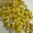Yellow, variant on Standard/Shipper Lobster Claw Bands, 1 LB Bag (About 350 PCS.), Yellow