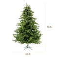 thumbnail image 3 of Fraser Hill Farm 7.5-Ft. Foxtail Pine Christmas Tree, FFFX075-0GR, 3 of 11