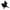 #3/B/7.08", variant on Kbndieu Halloween Black Feathered Crows, Artificial Ravens Decor for Outdoor Indoor Halloween Decorations Kids Gifts, Realistic Looking Halloween Birds Decoration Party Supplies (7.08") on Clearance