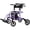Purple, variant on WalkMate 2 in 1 Rollator Walker Transport Chair for Seniors, 10'' Wheels Medical Rollator for Seniors with Paded Seat Backrest, Adjustable Handle and Detachable Footrests, Green