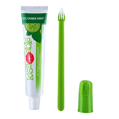 small dog toothbrush and toothpaste