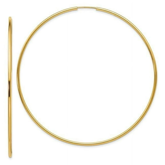 Primal Gold 14 Karat Yellow Gold Endless Hoop Earrings