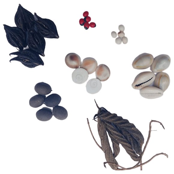 Gunja Blanche, Murad Phalli, Goamti Chakra, Kamal Gatta, Laxmi Cowry, Devil Pods - Chacun 5 Pcs pour Pooja