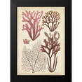 thumbnail image 2 of Vision Studio 11x14 Black Modern Framed Museum Art Print Titled - Seaweed Specimen in Coral II, 2 of 5