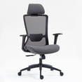 thumbnail image 4 of Newboti Furniture High Back Mesh Office Chair:8322H-BK BN.8381, 4 of 9
