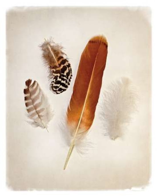Feather Group I Can