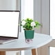 thumbnail image 4 of Maceta de Plástico Ganfancp Lazy Flower Pot Absorción Automática Agua Verde Planta Cultivo Ofertas Del Día Liquidación, 4 of 5